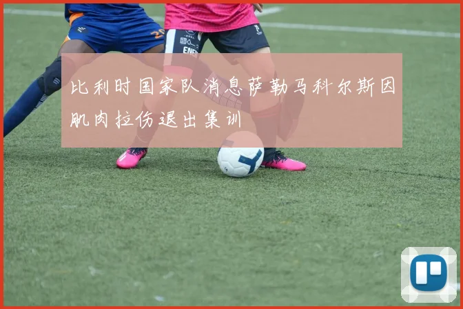 比利时国家队消息萨勒马科尔斯因肌肉拉伤退出集训