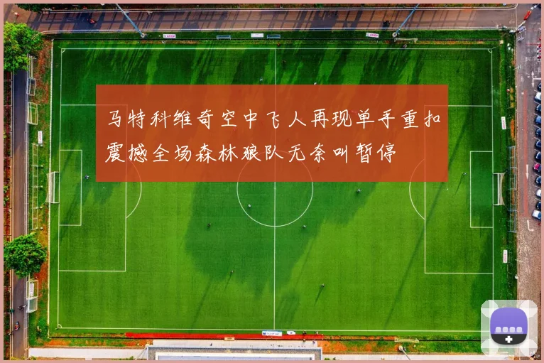 马特科维奇空中飞人再现单手重扣震撼全场森林狼队无奈叫暂停