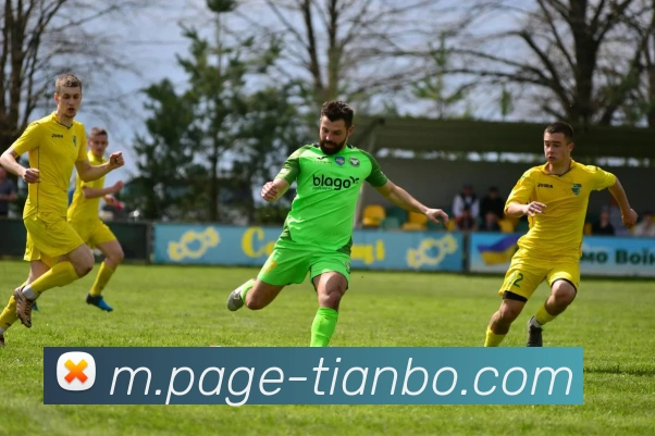 天博体育服务体系